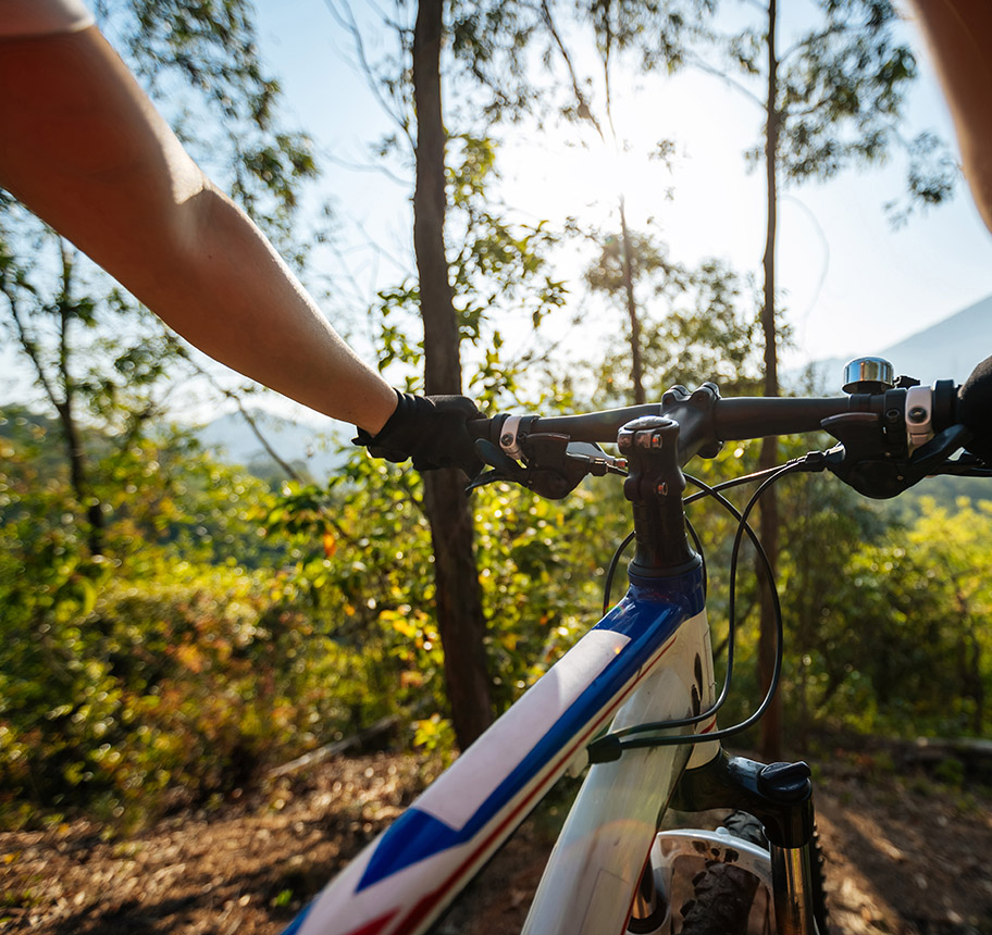 Sentier VTT Weissenstein