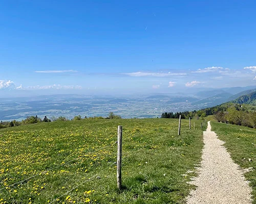 Frühling auf dem Weissenstein