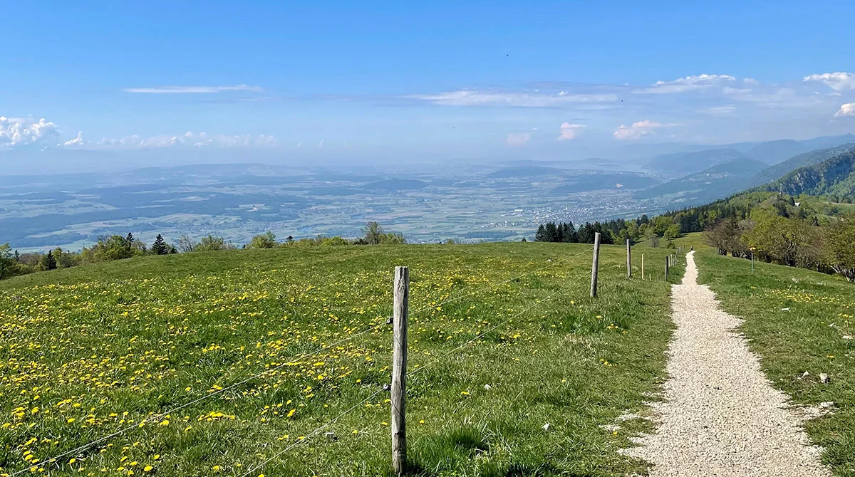 Frühling auf dem Weissenstein