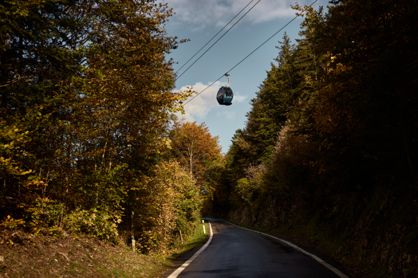 Téléphérique au-dessus de la forêt