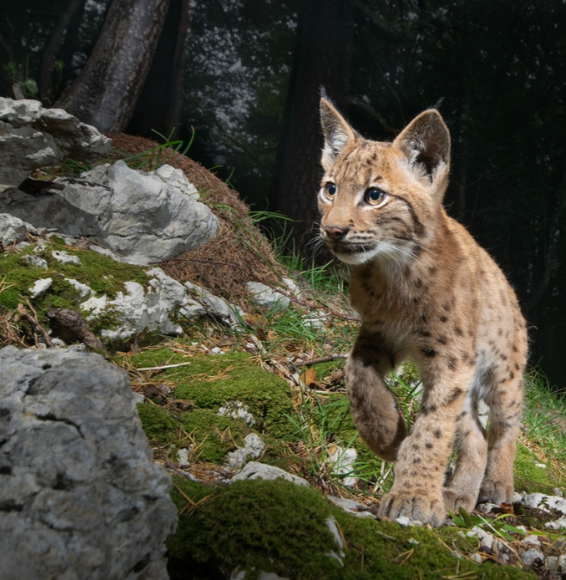 Natur Wanderung